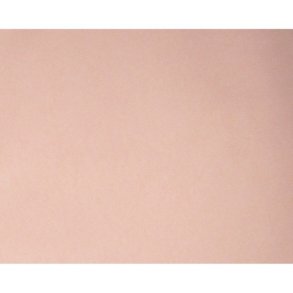 50 stk Peach/Apricot serviet 40cm Dunilin